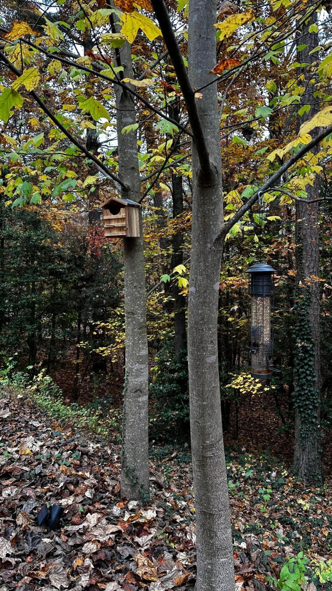 Ferienhaus Appalachian Mountain Cabin-updated-private-rafting On Ocoee River-hiking-waterfalls-wifi-pets Ok
