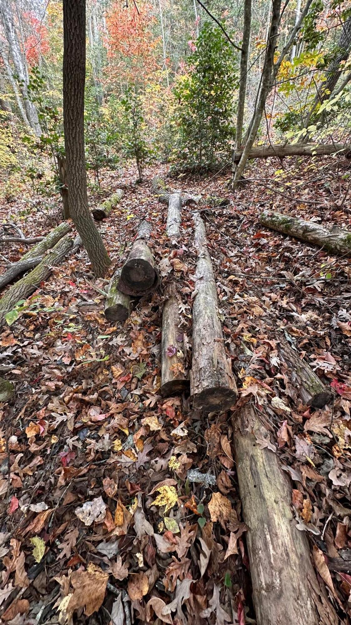Ferienhaus Appalachian Mountain Cabin-updated-private-rafting On Ocoee River-hiking-waterfalls-wifi-pets Ok