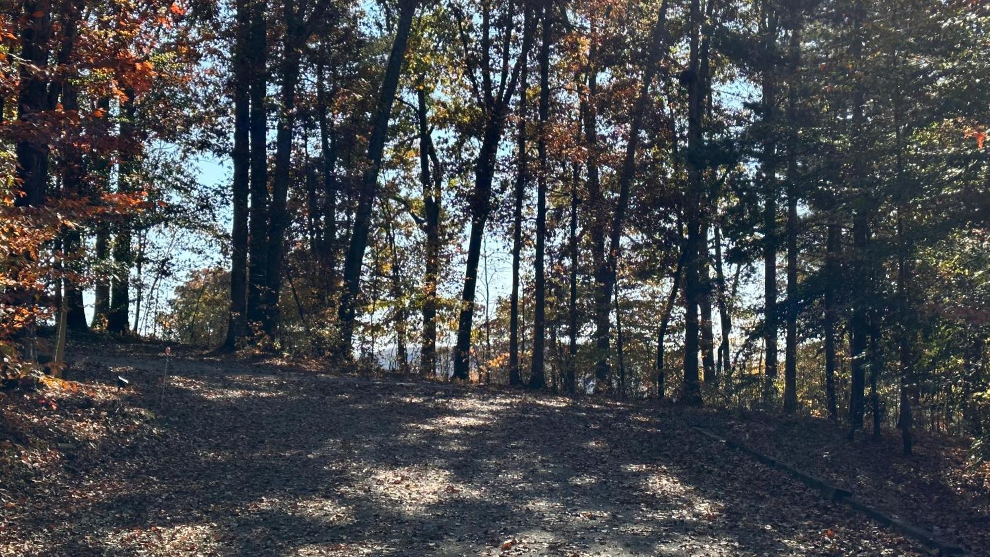 Appalachian Mountain Cabin-updated-private-rafting On Ocoee River-hiking-waterfalls-wifi-pets Ok Murphy